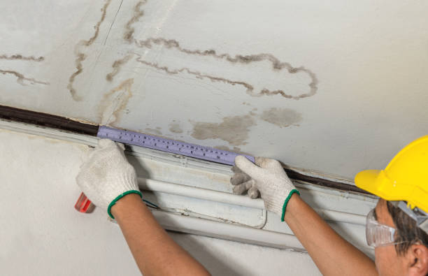 Reliable Water Removal contractor in Cornelius, OR by Water Damage Irwin